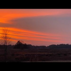 Meet your Posher, Jeri